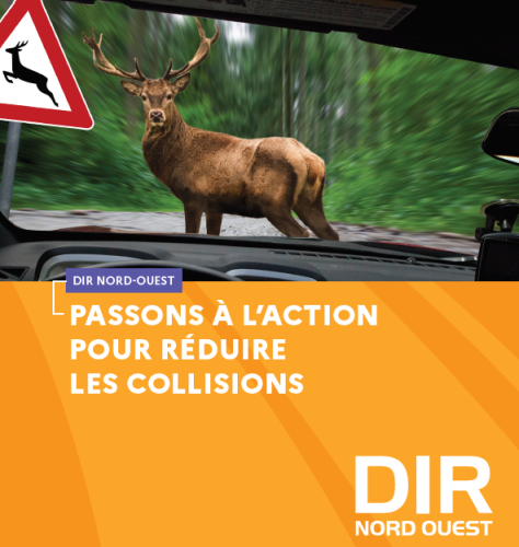 Réduisons les collisions avec le gibier en région Nord-Ouest